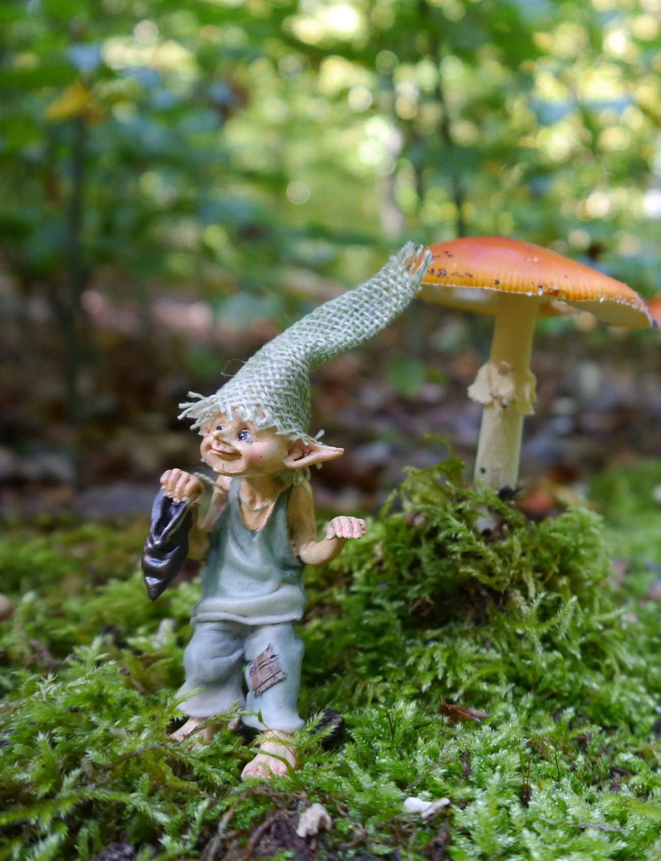 Veranstaltungsbild für Kobold Versteckfix und der verschwundene Feenschatz